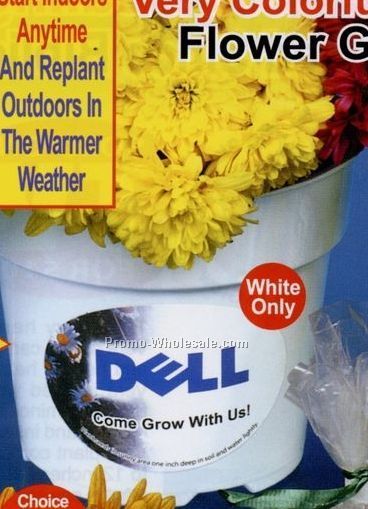 Bluebonnet All-in-1 Flower Garden Seed Kits W/ 4-1/2" Gropot