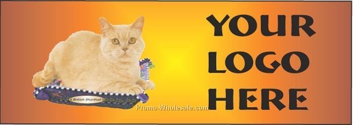 British Shorthair Cat Panoramic Badge W/ Metal Pin