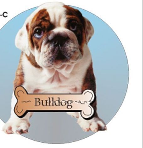 Bulldog Acrylic Coaster W/ Felt Back