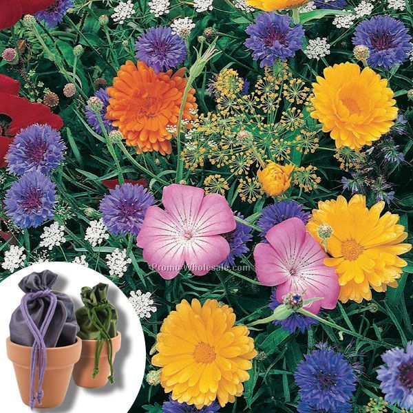 Butterfly Seed Mix In Satin Bag And Small Terracotta Pot With 4-color Tag
