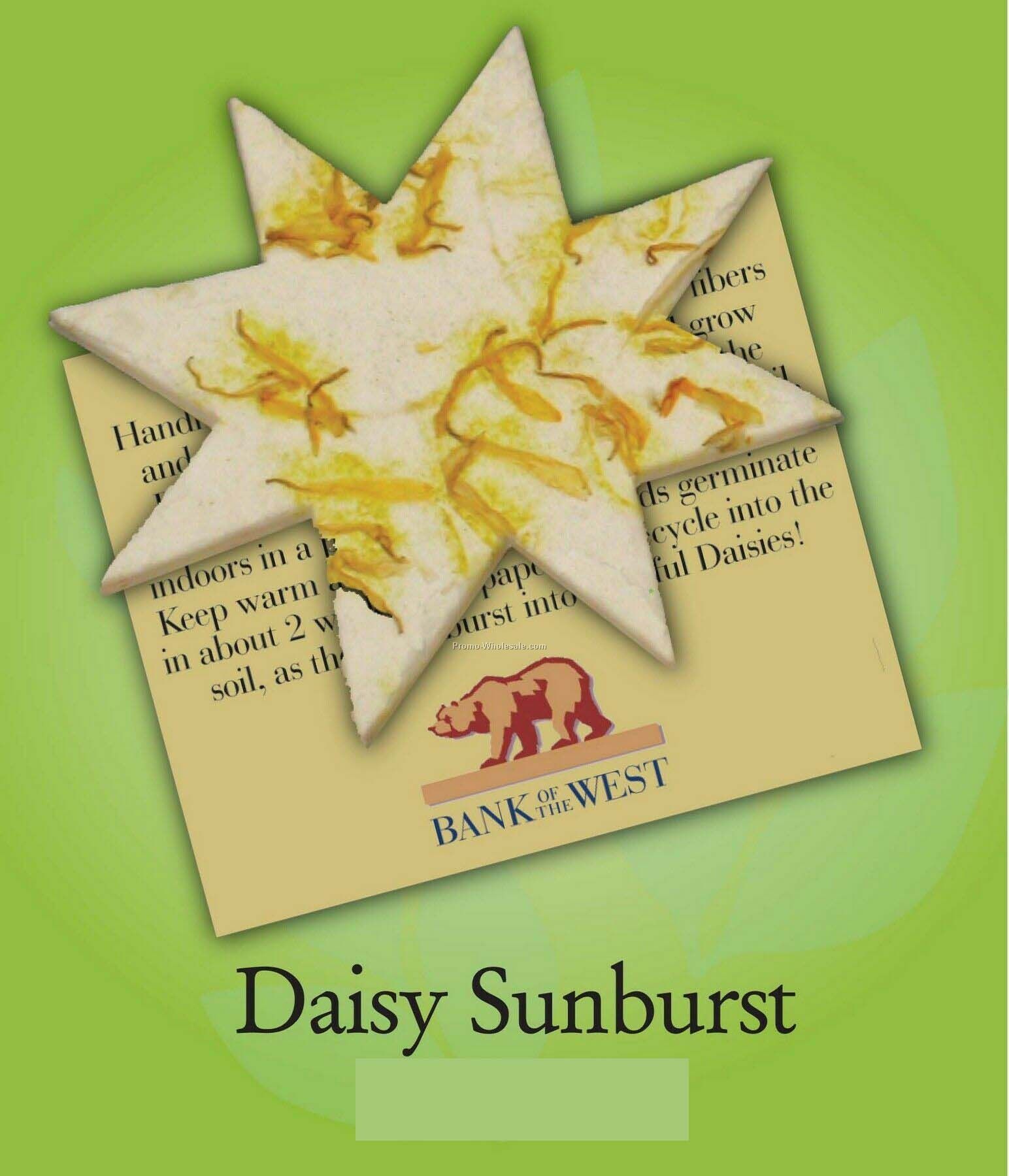 Daisy Sunburst Ornament W/ Embedded Seed