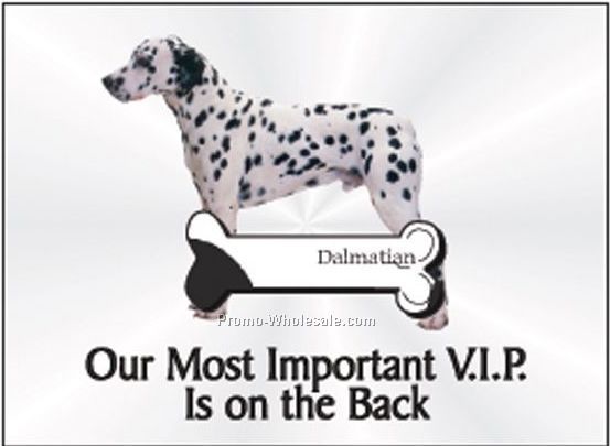 Dalmatian Rectangle Photo Hand Mirror (2-1/2"x3-1/2")