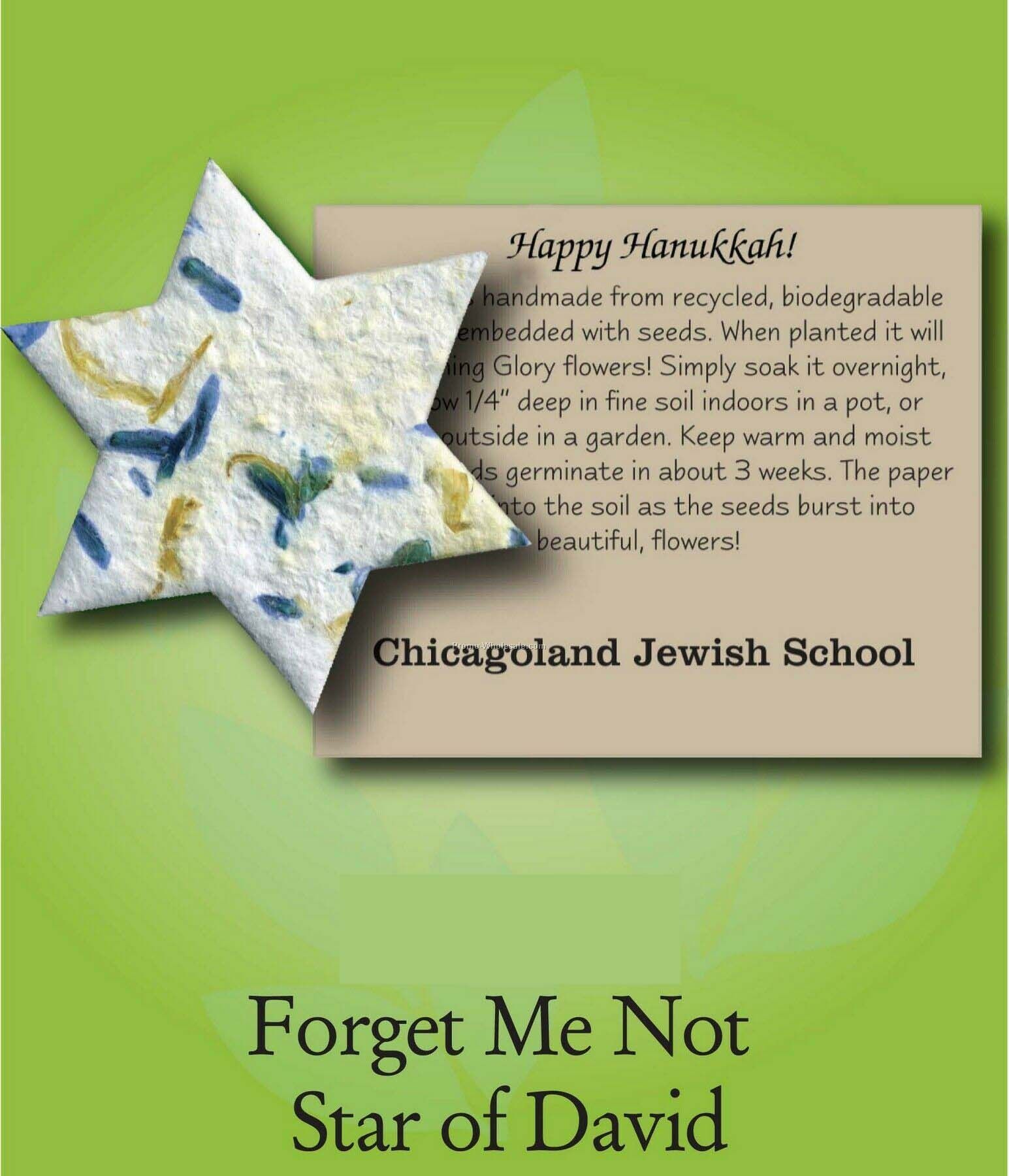 Forget Me Not Star Of David Ornament W/ Embedded Seed