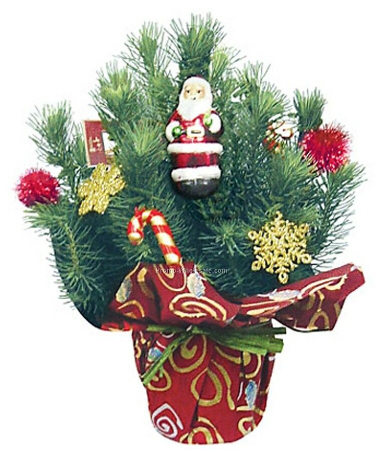 Holiday Gift Decorated Pine Trees