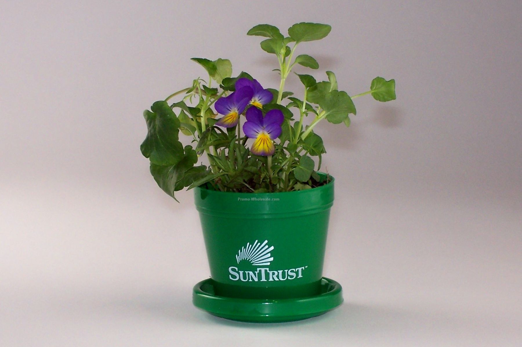 Johnny Jump Up Standard Logo Planter Kit 3-1/2"x3-3/4 (1 Color)