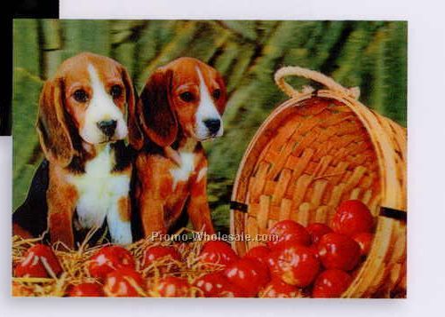 Opti Lenticular Postcards 3d