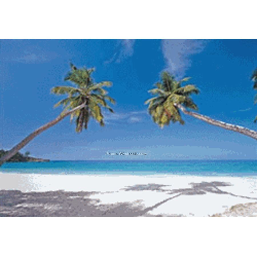 3d Lenticular Postcard - Stock / Palm Trees 4"x6"