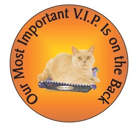 British Shorthair Cat Round Hand Mirror W/ Full Mirror Back (2-1/2")