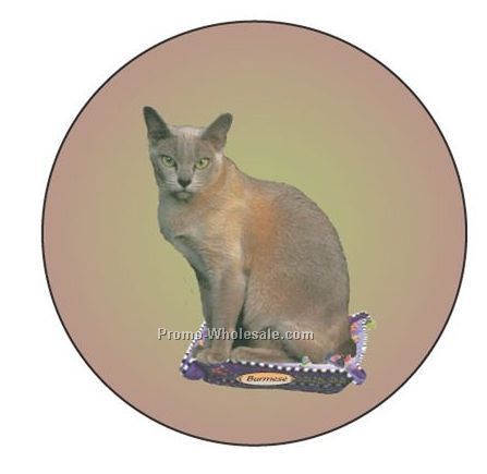 Burmese Cat Badge W/ Metal Pin (2-1/2")