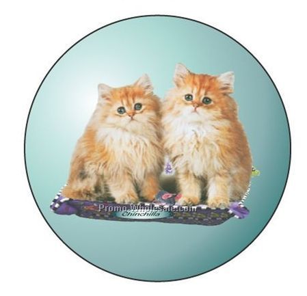 Chinchilla Cat Badge W/ Metal Pin (2-1/2")