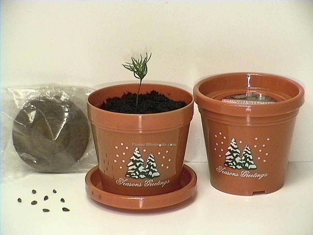 Colorado Blue Spruce Standard Logo Planter Kit (1 Color) 3-1/2"x3-3/4"