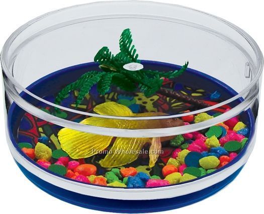 Like A Fish Compartment Coaster Caddy