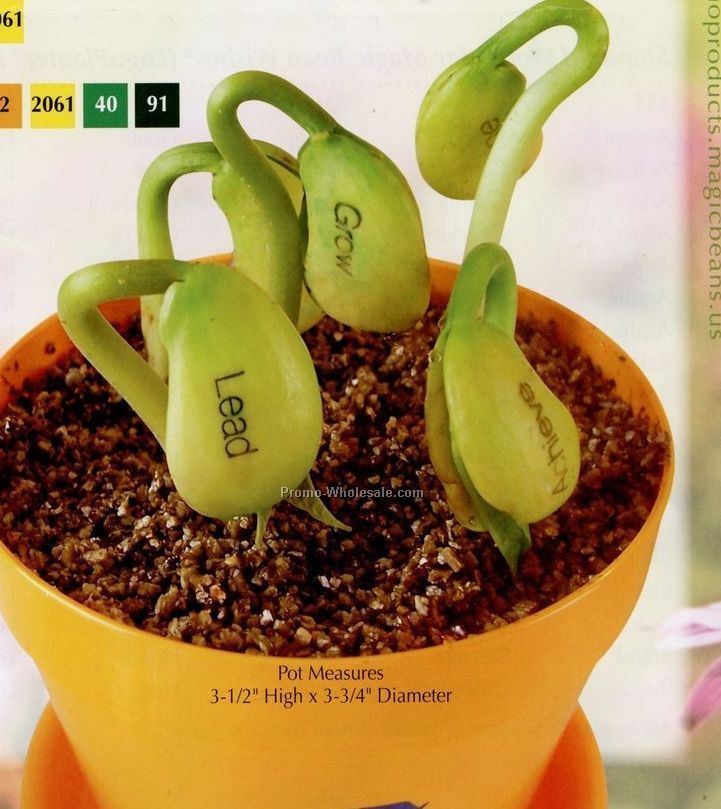 Logoplanter Kit W/ Magic Bean Wishes Seeds (1 Color Imprint)