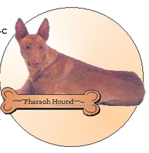 Pharaoh Hound Acrylic Coaster W/ Felt Back