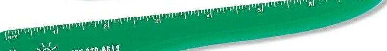 Wing Letter Opener/ 7" Ruler