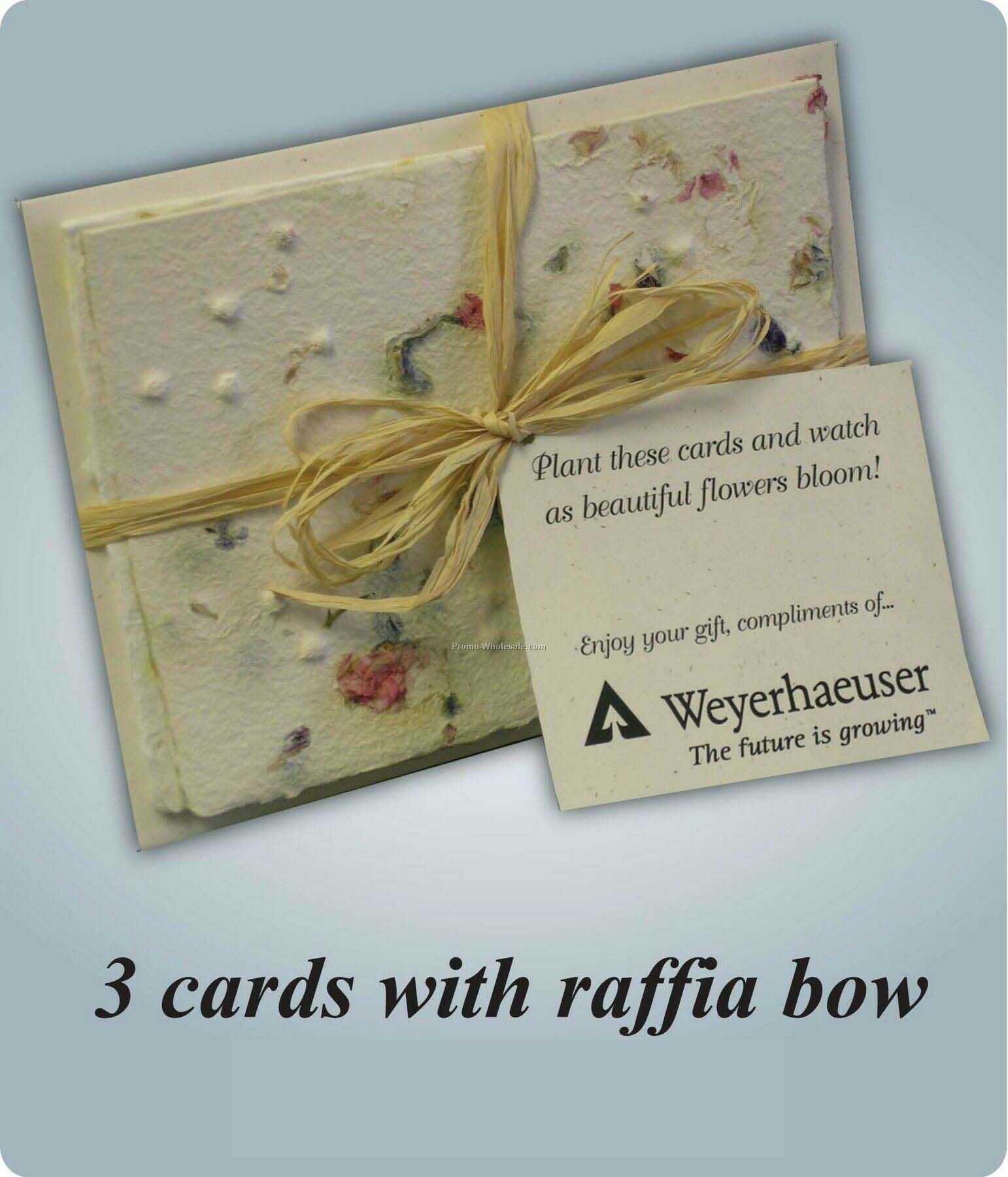 3 Card Gift Set W/Raffia Bow Tie
