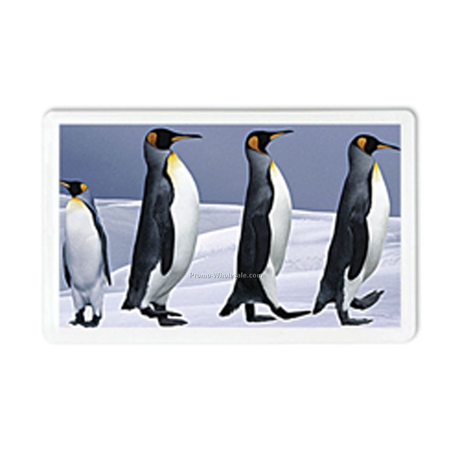 3d Lenticular Acrylic Magnet Picture Frames - Stock / Penguins