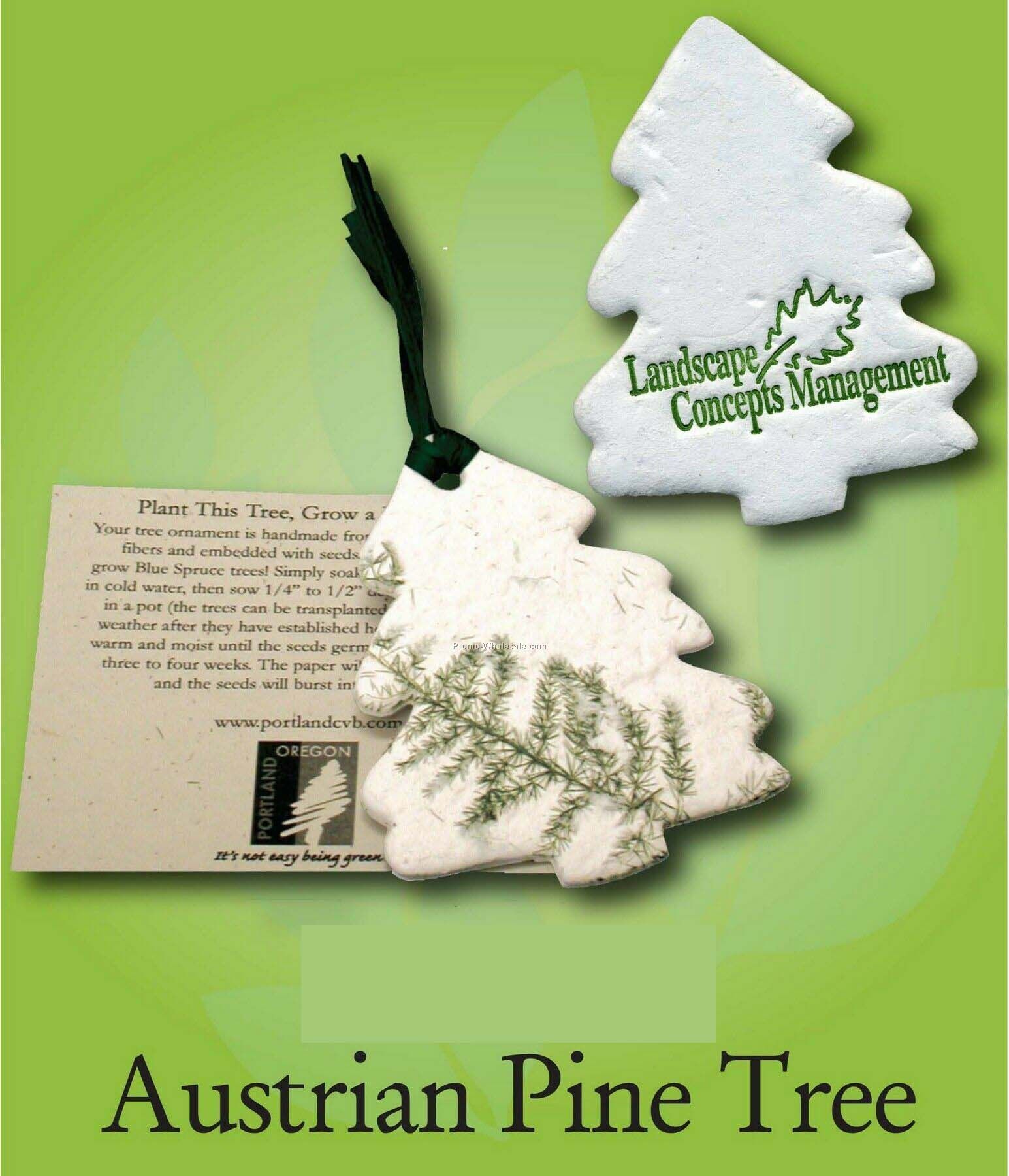 Austrian Pine Tree Ornament W/ Embedded Seed