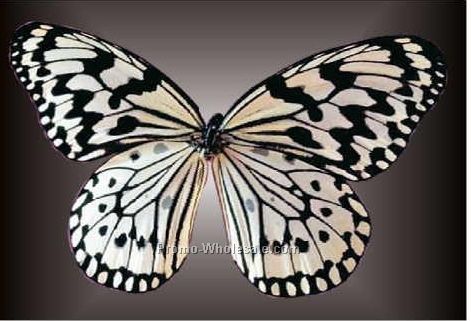 Black & White Butterfly Badge W/ Metal Pin (2-1/8"x3-1/8")