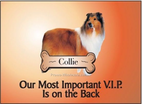 Collie Rectangle Photo Hand Mirror (2-1/2"x3-1/2")