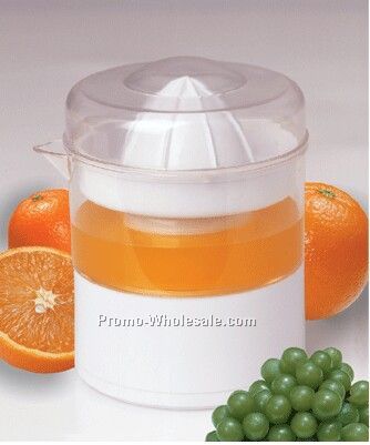 Mini Juicer