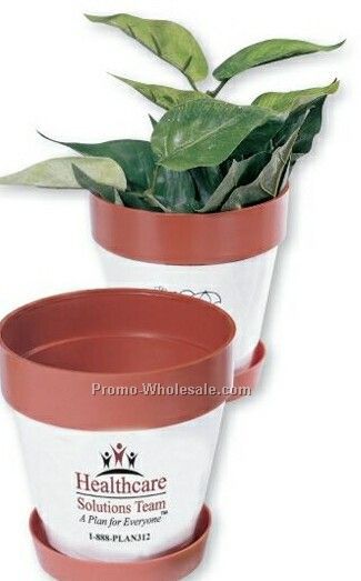 Snap In Blossom Pot