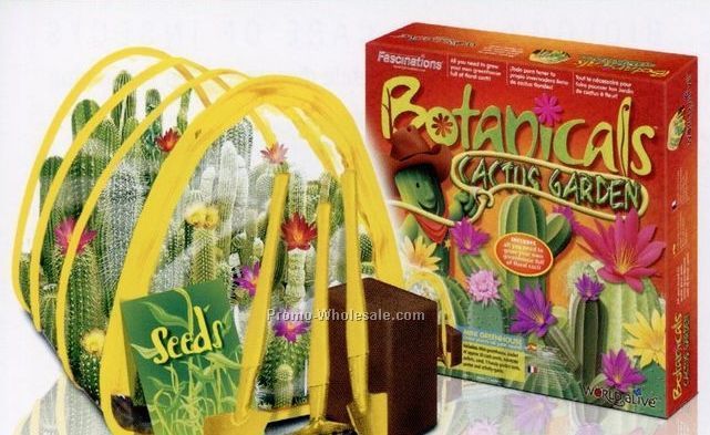 World Alive Cactus Garden Mini Greenhouse Habitat Kit