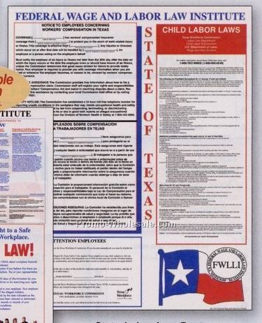 19"x24" State Labor Law Poster