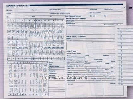 8-1/2"x11" Horizontal Anatomic Diagram W/ Primary & Permanent Arches