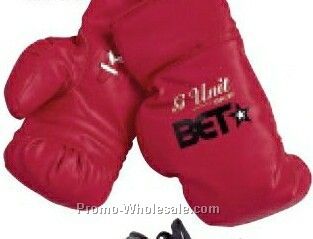 9" 10 Oz. Regulation Boxing Gloves