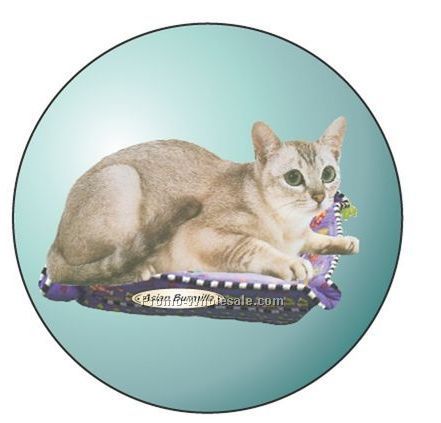 Asian Burmilla Cat Badge W/ Metal Pin (2-1/2")