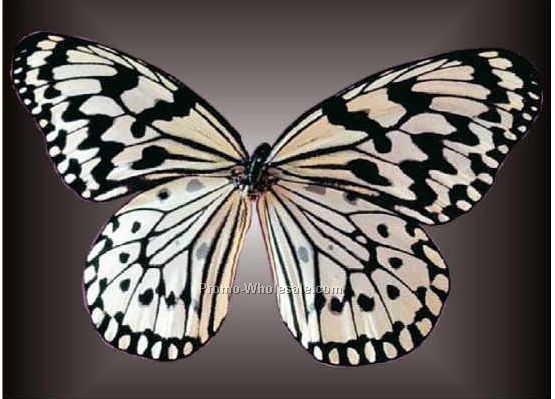 Black & White Butterfly Badge W/ Metal Pin (2-1/2"x3-1/2")