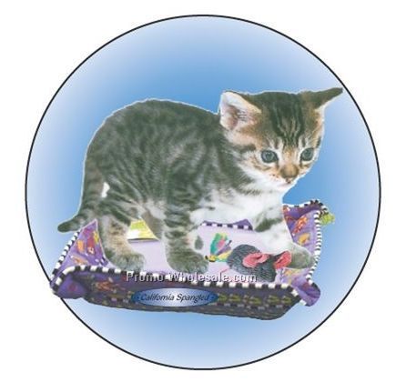 California Spangled Cat Badge W/ Metal Pin (2-1/2")