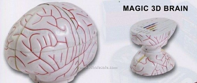 Magic 3d Brain