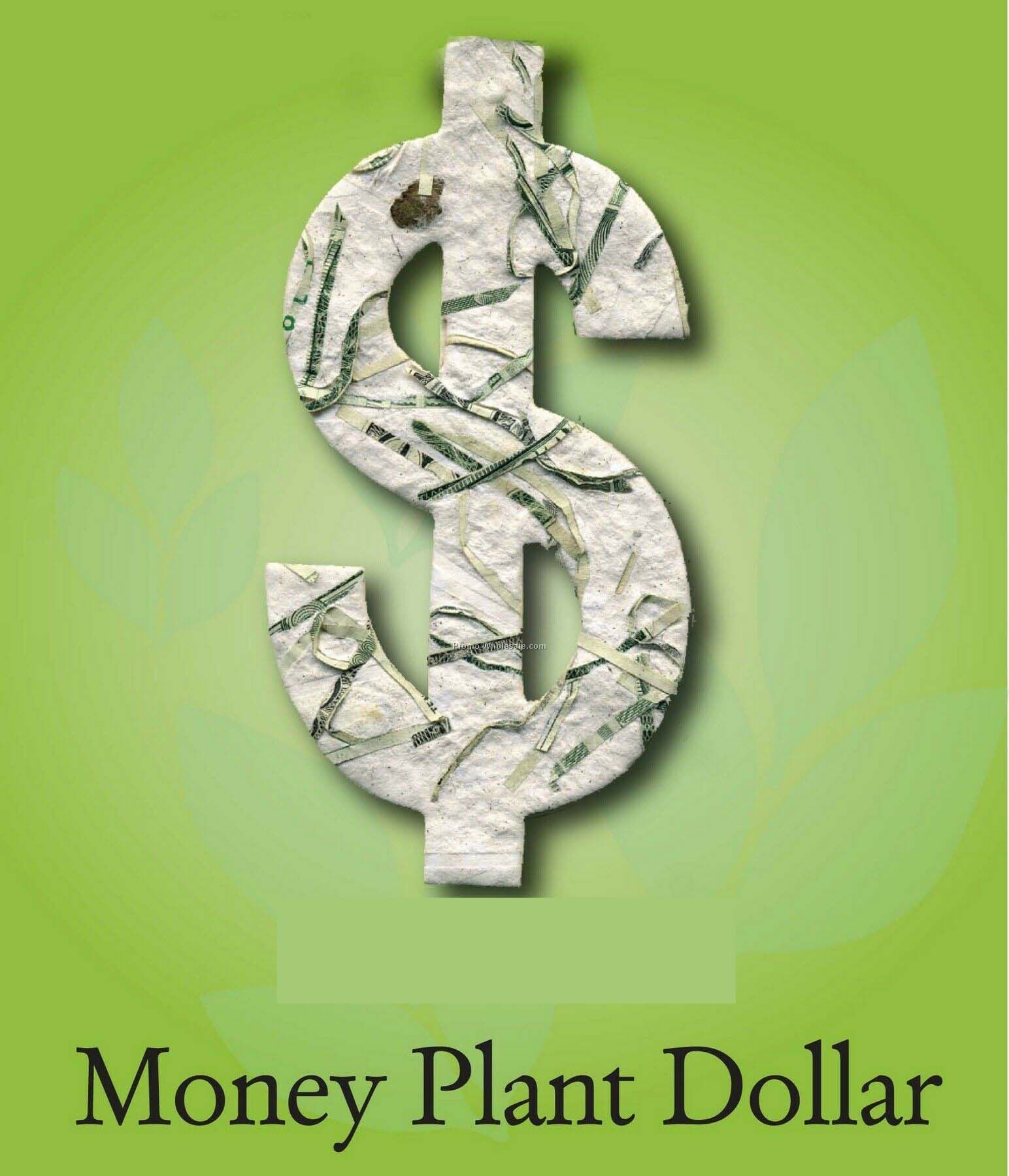 Money Pland Dollar Sign W/ Embedded Seed