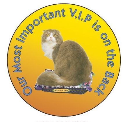 Scottish Fold Cat Round Hand Mirror W/ Full Mirror Back (2-1/2")