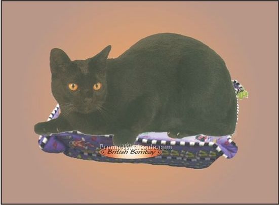 British Bombay Cat Badge W/ Metal Pin (2-1/8"x3-1/8")