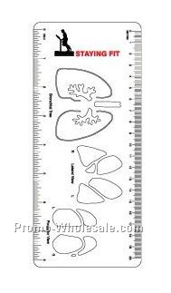 Medical Illustrator (Lung)