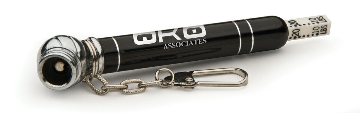 Mini Tire Gauge Key Chain