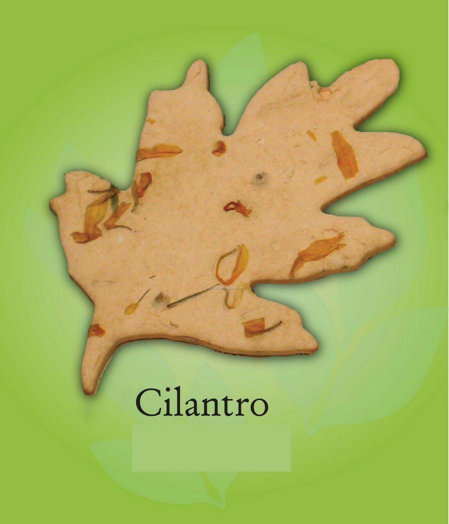 Organic Cilantro Leaf Ornament W/ Embedded Seed
