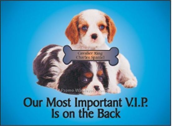 Spaniel Dog Rectangle Photo Hand Mirror (2-1/2"x3-1/2")