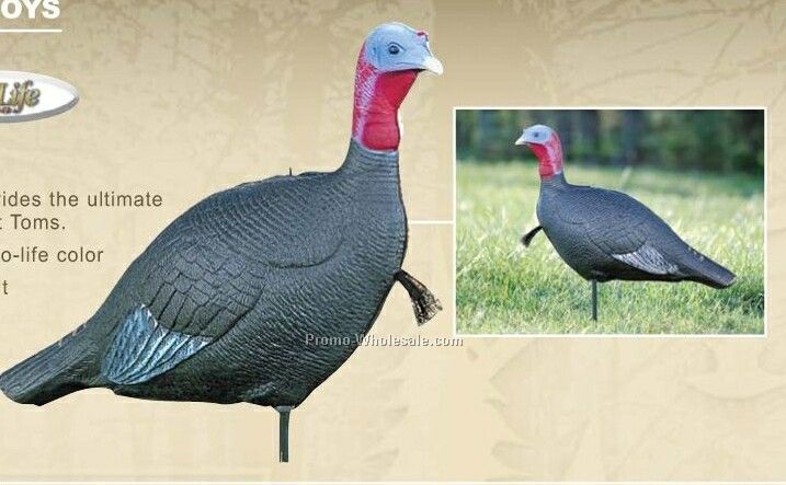 Turkey Decoy - Aggressive Jake W/ Stake