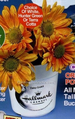 Zinnia All-in-1 Complete Flower Garden Seed Kit W/ 2-1/2" Grokit