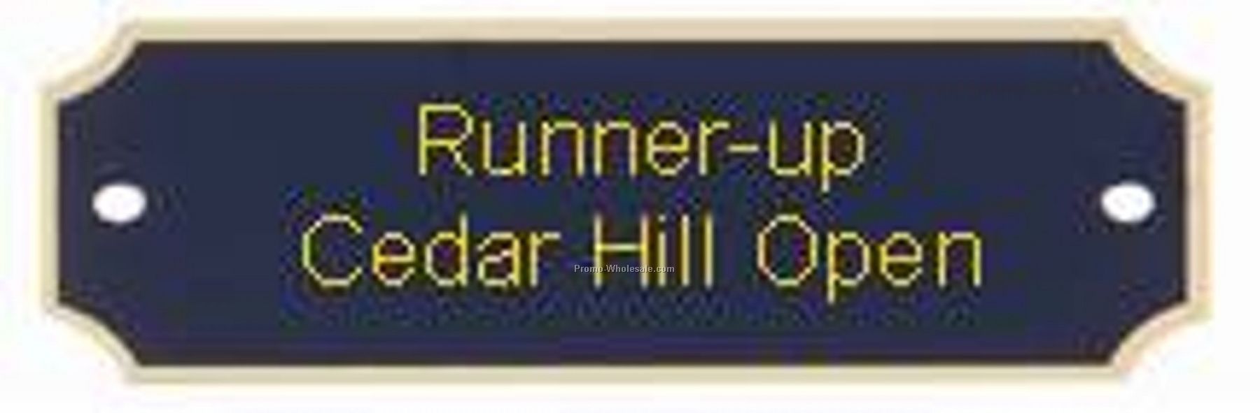 1" X 3-1/4" Engraved Die Cut Plaque & Trophy Plate