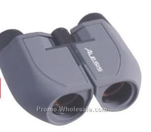 4-1/2"x4-1/4"x1-3/4" 10x25 Executive Binoculars With Nylon Case