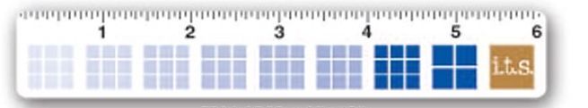 6"x1" Full Color Ruler Shape Magnet / 20 Mil - Group 5