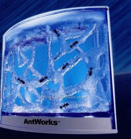 Antworks Illuminated Combo Set W/ Blue LED Light