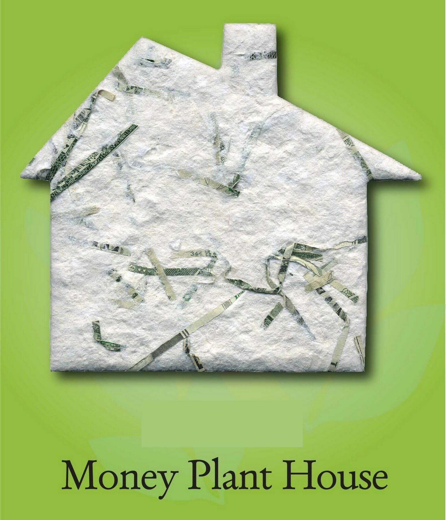 Money Plant Silver Dollar Plant House Ornament W/ Embedded Seed