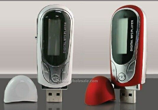 Oval Mp3 Player, USB Drive And Voice Recorder