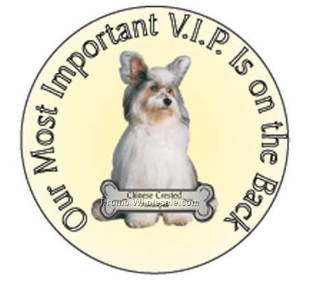 Powderpuff Dog Round Hand Mirror W/ Full Mirror Back (2-1/2")